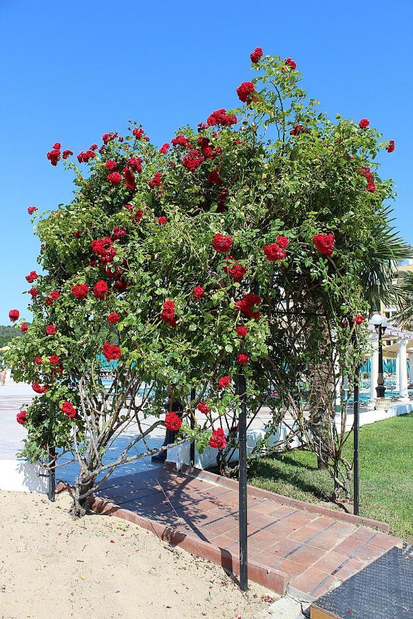 Duni Marina Beach Hotel Dyuni Εξωτερικό φωτογραφία